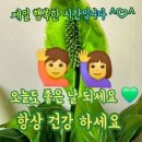 ♤소금과 바이러스♧ 이미지