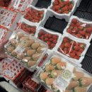 이마트24 속초고속터미널점 이미지