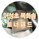쎄리스킨케어 | [일기/diary]스킨유목민 모여라~~진정 패드 추천/내가 누울 곳은 다자연스킨