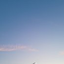 본래순대 함양상림점 이미지