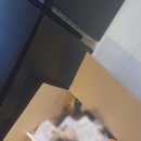 예스조명 이미지