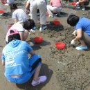 사구어촌체험마을(송지면 사구마을) 이미지