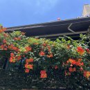 개구리게임장 이미지