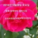 동해먹거리장터 이미지