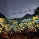 봉평초등학교 이미지