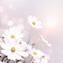 (주)좋은친구들 이미지