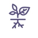 이레국수집