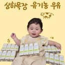 조선목장 | 상하목장 유기농우유, 유기농우유 락토프리 후기