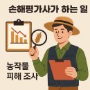 손해평가사 자격증으로 가능한 일 7가지