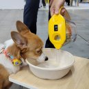 정수동물병원 이미지