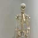 아이브필라테스lab | [소리쌤 클래식 필라테스_레슨 후기] 경주필라테스/아이브필라테스클래식/필라테스미식회