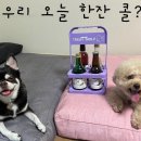 트릿테이블 이미지