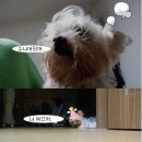 수니인테리어 이미지