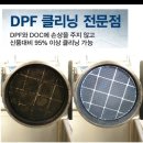 닥터카랜드 이미지