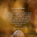 오직하나 네이버블로그