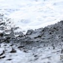 승일공원(승일교) 이미지