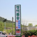 정이품송가든 이미지