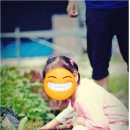 송원민박 이미지