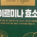주희네마겟