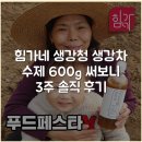 힘가네 생강청 생강차 수제 600g 써보니 3주 솔직 후기