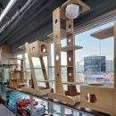 펫츠아일랜드 수월점 이미지