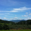 진선미농장 이미지