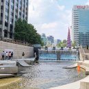 뮤직프라자 네이버블로그