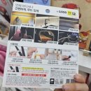 트윙클 펫샵 이미지