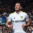 리즈펠리스 이미지