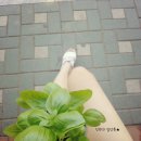 하나로공판장 이미지