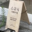 스코닉 이미지
