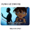 코난에서 나온 인체의 비밀 이미지
