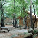 대관령자연휴양림 이미지