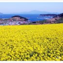 남해-217 이미지