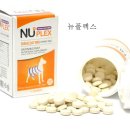 (주)케이메딕스 | 케이펫페어 아이앤지메딕스(D-29) MVP PRO 사료, 강아지영양제 후기