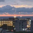 다은동물병원 | Oct