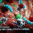 우리장 이미지
