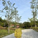 포인터웍스 | 포인터웍스x미니멀웍스 콜라보 키즈캠핑룩 아노락 캠프캡