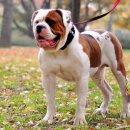 내덕농장 이미지