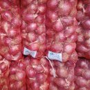 함양양파영농조합법인 이미지