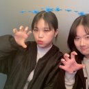 신불야성 네이버블로그