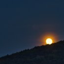 한방자연휴양림 이미지