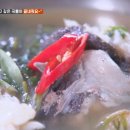 2023-0079 | 백반기행 42회 통영맛집 팔도식당 도다리쑥국, 산양식당 통영비빔밥, 물레야소주방 다찌, 통영식당 멸치...