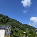 김삿갓면-36 | [영월] 촌캉스 영월펜션 핑크문 1호 가격 및 예약 꿀팁 내돈내산 후기