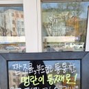 서리김밥 | 용산 효창공원 김밥 서리김밥, 신메뉴 통명란마요김밥 후기