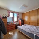 주택약국 Daum카페