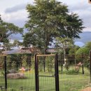 스테이 댕댕 | 강아지랑 힐링 여행 대구 팔공산 애견 펜션 스테이 댕댕 방문 솔직 후기