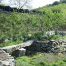 부여(외산)-5 이미지