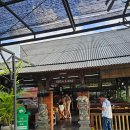 짱구절임 | [발리/짱구] 짱구 바비굴링 맛집 인플루언서들도 다니는 바비굴링 멘라리 Babi guling men Lari