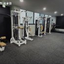 머슬원핏 월곶점 이미지